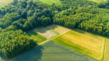 Yeşil tarlalar ve sık ormanlarla dolu bir yaz manzarasının insansız hava aracı görüntüsü ekili arazi ve doğal orman arasındaki zıtlığı gözler önüne seriyor..