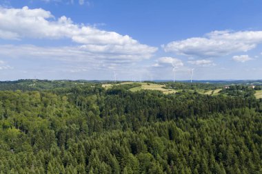 Açık gökyüzü ve uzak mesafede rüzgar türbinleri olan bir ormanın havadan manzarası.