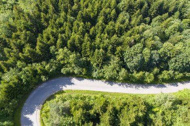 Yazın, içinden bir yol geçen bir ormanın havadan görünüşü yemyeşil yapraklar sergiliyor..