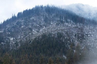 Huzurlu bir kış manzarası karla kaplı bir dağ, yemyeşil ve kahverengi ağaçların karışımı doğanın güzelliğini ve esnekliğini kapsıyor..