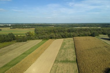 Açık mavi gökyüzünün altında yeşil ve altın parçalarıyla canlı tarımsal alanlar kırsal alanın güzelliğini gözler önüne seriyor..