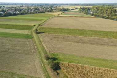 Uçsuz bucaksız tarım sahalarının uçsuz bucaksız görüntüsü yeşil ve kahverengi yamalar sergiliyor. Ekinlerin arasından geçen dolambaçlı bir yol doğanın güzelliğini ve kırsal huzurunu yansıtıyor..