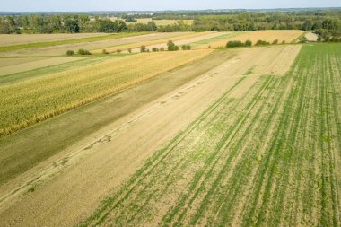 Değişik tarım alanlarının havadan görünüşü, açık mavi gökyüzü altında kırsal tarım manzaralarını gösteren çeşitli ekin ve dokuları gösteriyor.