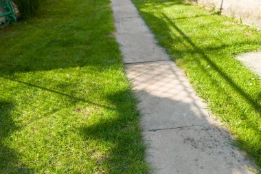 Canlı yeşil çimlerle çevrili güneşli bir bahçe yolu kaldırımda ışık ve gölge desenleri sergiliyor doğa ve doğa meraklıları için mükemmel..