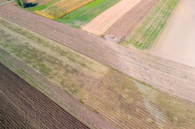 Tarımsal alanların havadan görünüşü çeşitli ekin desenleri ve renkleri gösteriyor. Yeşil kahverengi ve sarı renkler canlı bir manzara yaratır.
