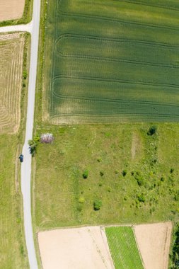 Yeşil ekinlerin ve çayırların arasından geçen kırsal yolun havadan görünüşü. Yazın tarımlı ve küçük arabalı kırsal arazi manzarası.