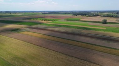 Kırsal bölgelerdeki geniş tarım arazilerini kaplayan yaz buğday tarlalarının havadan videosu..