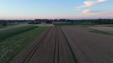 Buğday tarlasına yakın görüş. Buğday tarlasına bakıyor. Yaz mevsimi güneşinde rüzgarlı buğday tarlası manzarası