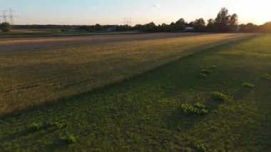 Gün batımında yemyeşil tarlaların havadan görünüşü, altın saat ışığı ve doğal güzellik.