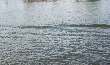 Sakin su yüzeyinde hafif dalgalanmalar ışığı yansıtıyor. Doğa temalı tasarımlar ve arka planlar için ideal.