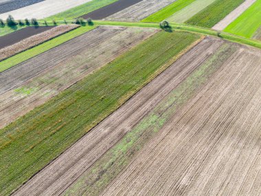 Açık mavi gökyüzünün altında renkli ekin şeritleri sergilenen canlı tarım arazilerinin havadan görünüşü. Tarımsal çevre temaları veya kırsal alanlar için mükemmel.