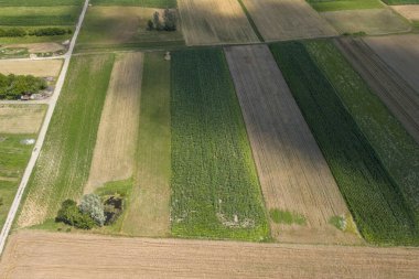 Kırsal bölgelerdeki canlı yeşil ve altın tarlaların havadan görünüşü tarımsal arazi modellerini gösteriyor. Doğanın güzelliği, mevsimsel değişiklikleri ve tarım yöntemlerini ön plana çıkarıyor..