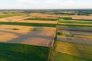 Temiz bir gökyüzünün altında yeşil ve altın rengi bir demet ile geniş tarım alanlarının havadan görünüşü kırsal manzaraların güzelliğini gözler önüne seriyor..