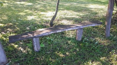 Yeşil bir parktaki bir ağacın altında kırsal ahşap bir bank rahatlama ve tefekküre davet ediyor. Doğa aşıkları ve doğa tutkunları için mükemmel..