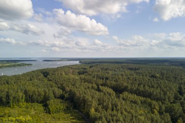 İçinden akan bir nehrin aktığı güzel bir orman manzarası yemyeşil ve huzurlu manzarayı gözler önüne seriyor.