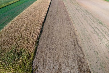 Alternatif ürün ve toprak örneklerini gösteren tarımsal alanların havadan görünüşü canlı renkler ve dokular sergiliyor..