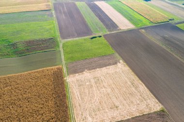 Açık mavi gökyüzü altında farklı ekin ve toprak türlerini gösteren renkli tarım alanlarının havadan görünüşü.