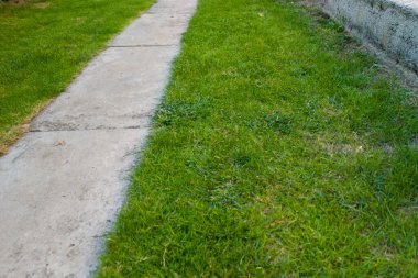 Bereketli yeşil çimlerle çevrili sakin bir yol huzurlu bir doğa yürüyüşünü davet ediyor..