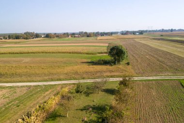 Bereketli yeşil tarlaların hava manzarası, dolambaçlı bir yol, temiz mavi gökyüzünün altındaki kırsal manzaraların güzelliğini gösteriyor..