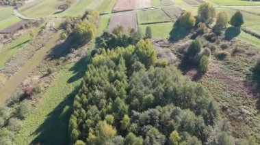 Renkli ormanın üzerindeki sonbahar hava manzarası. Güzel sonbahar ormanı. Sonbahar ormanı üzerinde alçak uçuş