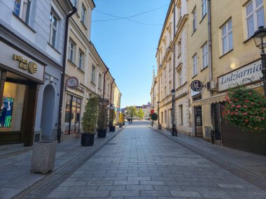 Rzeszow, Polonya - 15 Ekim 2024: Rzeszow 'da sakin bir sokak manzarası büyüleyici bir mimari ve hoş bir ortam sergiliyor..