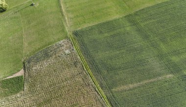 Yemyeşil tarım arazilerinin havadan görünüşü, çeşitli ürün ve modellerin sergilenmesi, doğa ve tarım temaları için mükemmel..