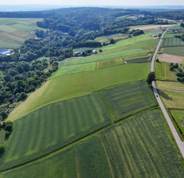 Berrak mavi gökyüzünün altında yemyeşil tarlaların ve dolambaçlı yolların havadan görünüşü doğanın güzelliğini ve tarım manzaralarını gözler önüne seriyor..