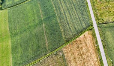 Yeşil tarlalar ve farklı ekin desenleri ve dolambaçlı bir yolu olan tarım arazisi. Doğanın güzelliği ve tarım uygulamaları uyum içinde..