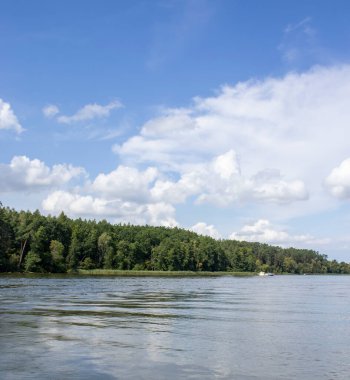 Bereketli yeşil ağaçlarla çevrili sakin bir göl ve açık mavi gökyüzü doğa severler ve açık hava meraklıları için idealdir..