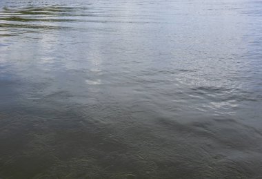 Sakin nehir suyu gökyüzünü yansıtıyor, sakin ve huzurlu bir atmosfer yaratıyor. Doğa ve açık hava temaları için ideal.