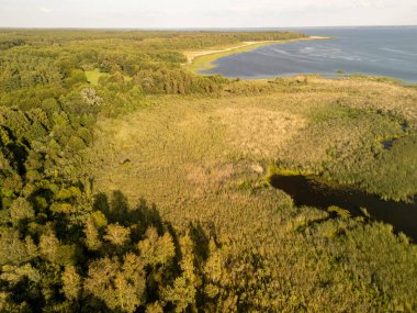 Sarmal bir nehir ve ormanı olan yemyeşil bir arazinin havadan görünüşü.