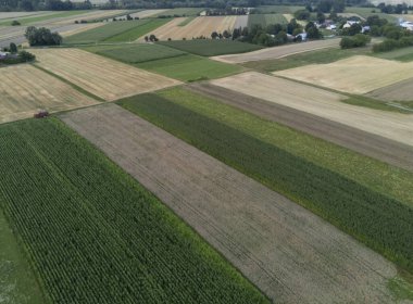 Aerial view of vibrant agricultural fields with varying shades of green and brown, showcasing a patchwork of crops under a clear blue sky. clipart