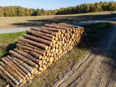 Parlak güneş ışığı altında, kırsal bir alanda istiflenmiş kütükler doğanın ve kereste endüstrisinin güzelliğini gözler önüne seriyor..