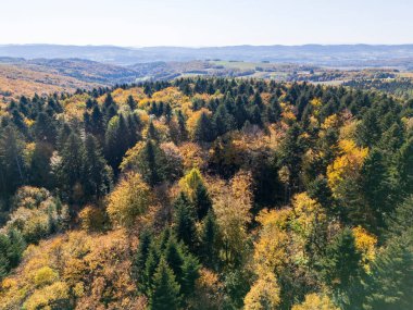 Arka planda renkli ağaçlar ve tepeler olan sonbahar ormanlarının havadan görünüşü doğanın güzelliğini gözler önüne seriyor..