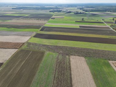 Canlı tarım arazilerinin havadan görünüşü yeşilin ve kahverenginin çeşitli tonlarını gösteriyor. Manzara tarımsal modelleri ve doğal güzelliği yansıtıyor..