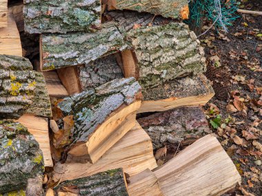 Farklı dokulara ve renklere sahip odun kütüklerine yakın çekim. Konforlu doğal ayarlar veya ev dekorasyonu projeleri için ideal.