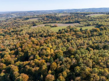 Rengarenk sonbahar ağaçları ve tarlalarının havadan görünüşü açık mavi gökyüzüne karşı sonbahar yapraklarının canlı renklerini gösteriyor..