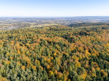Sonbaharda yemyeşil bir ormanın hava manzarası canlı yapraklar ve geniş manzaralar sergiliyor.