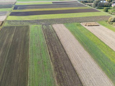 Canlı tarım alanlarının havadan görünüşü farklı dokuları ve ekinlerin renklerini gösteriyor. Huzurlu kırsal alan doğanın güzelliğine bir göz atıyor..