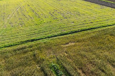 Canlı yeşil alanların havadan görünüşü arazideki farklı doku ve desenleri gösteriyor. Bu da tarımsal güzelliği gösteriyor..