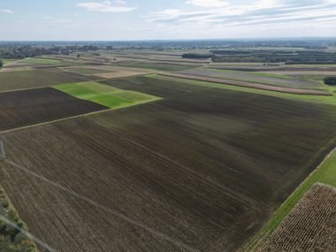 Uçsuz bucaksız renkli tarımsal alanların havadan görünüşü açık bir gökyüzü altında çeşitli ürünler sergiliyor.