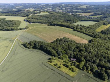 Bereketli yeşil tarlaların ve açık mavi gökyüzünün altındaki ormanların havadan görünüşü