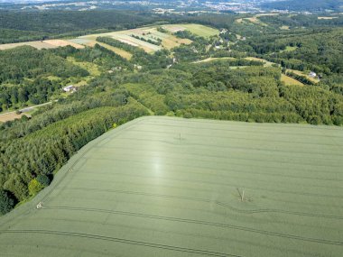 Aerial view of lush green fields and forests under a bright sky showcasing the beauty of nature. Perfect for agricultural themes or landscape representations. clipart