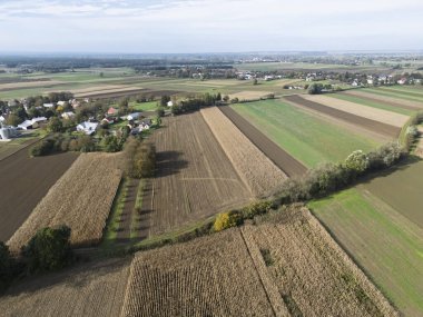 Güneşli bir günde tarımsal alanların ve kırsal alanların havadan görünüşü