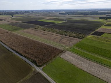 Değişen dokulara ve şekillere sahip renkli tarım alanlarının havadan görünüşü