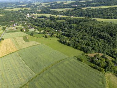 Yemyeşil çayırların ve ormanların havadan görünüşü kırsal doğanın güzelliğini gözler önüne seriyor..