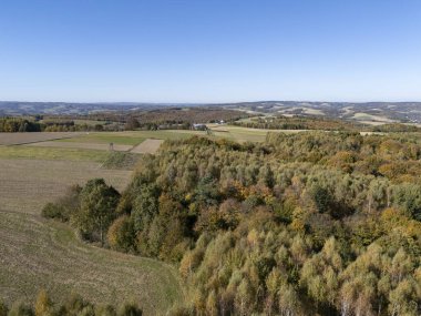 Aerial view of a lush landscape showcasing vibrant autumn foliage and rolling hills. Ideal for nature lovers and those seeking scenic views. clipart