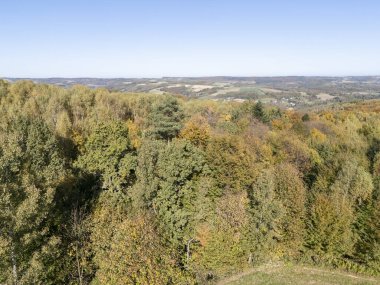 Sonbaharda canlı bir ormanın havadan görünüşü rengarenk yapraklar ve açık mavi gökyüzünün karışımı sonbahar mevsiminde doğanın güzelliğini yansıtıyor..