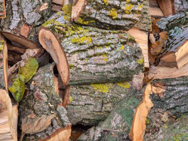 Yosun renkleriyle istiflenmiş yakacak odunların yakın çekimlerinde doğal dokular ve toprak renkleri ev ve açık hava temaları için mükemmel..