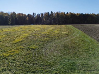 Uzakta ağaçlarla çevrili dolambaçlı bir yolu olan yemyeşil bir tarlaya sahip huzurlu bir kırsal alan. Doğa aşıkları ve doğa tutkunları için mükemmel..